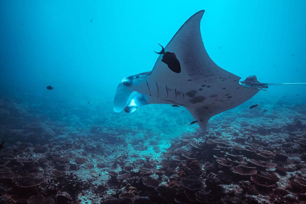 ホテル エンデリ サンセット ダンゲティ ダンゲシ エクステリア 写真