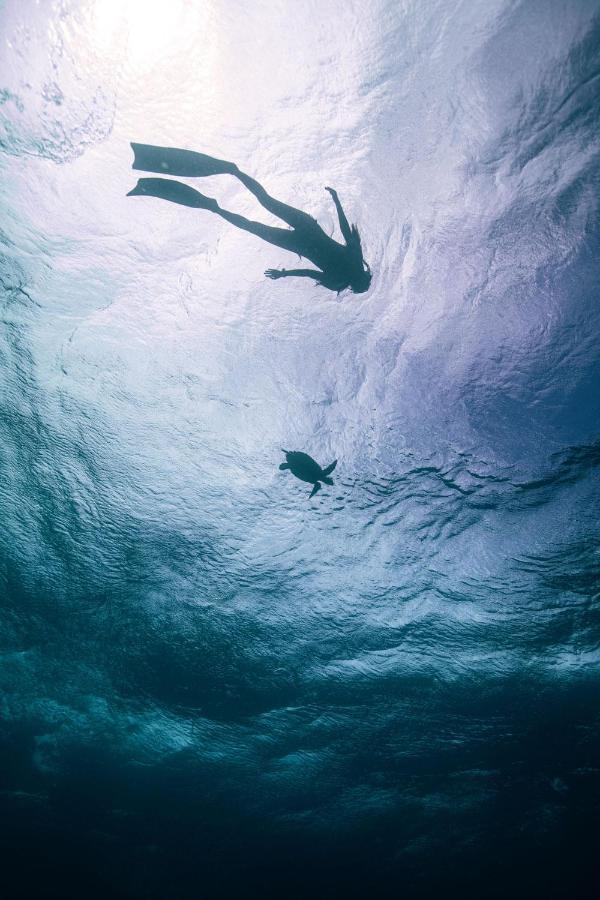 ホテル エンデリ サンセット ダンゲティ ダンゲシ エクステリア 写真